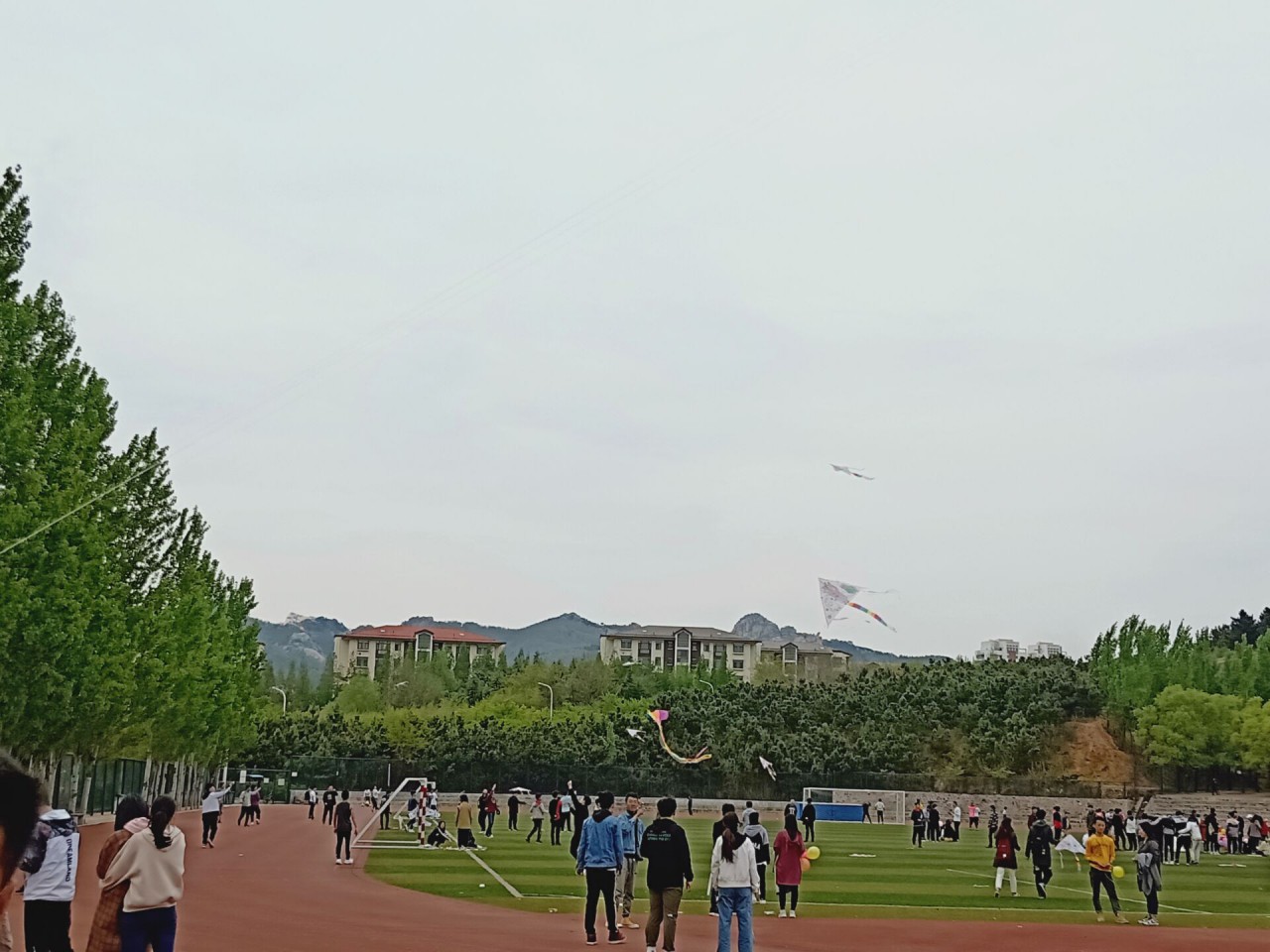 三级片在线